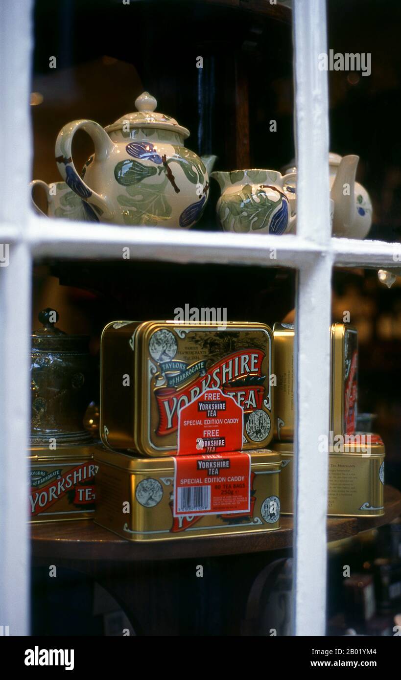 England: A Yorkshire Teashop Window, York, UK. Nach der mündlichen Überlieferung wird in China seit über vier Jahrtausenden Tee angebaut. Die frühesten schriftlichen Berichte über die Teezubereitung stammen jedoch aus der Zeit um 350 n. Chr., als er zum ersten Mal am kaiserlichen Hof ein Getränk wurde. Etwa 800 CE-Teesamen wurden nach Japan gebracht, wo bald ein regelmäßiger Anbau etabliert wurde. Etwas mehr als fünf Jahrhunderte später, im Jahr 1517, wurde der Tee von den Portugiesen nach Europa geliefert, kurz nachdem sie ihren Handel mit China aufgenommen hatten. Stockfoto