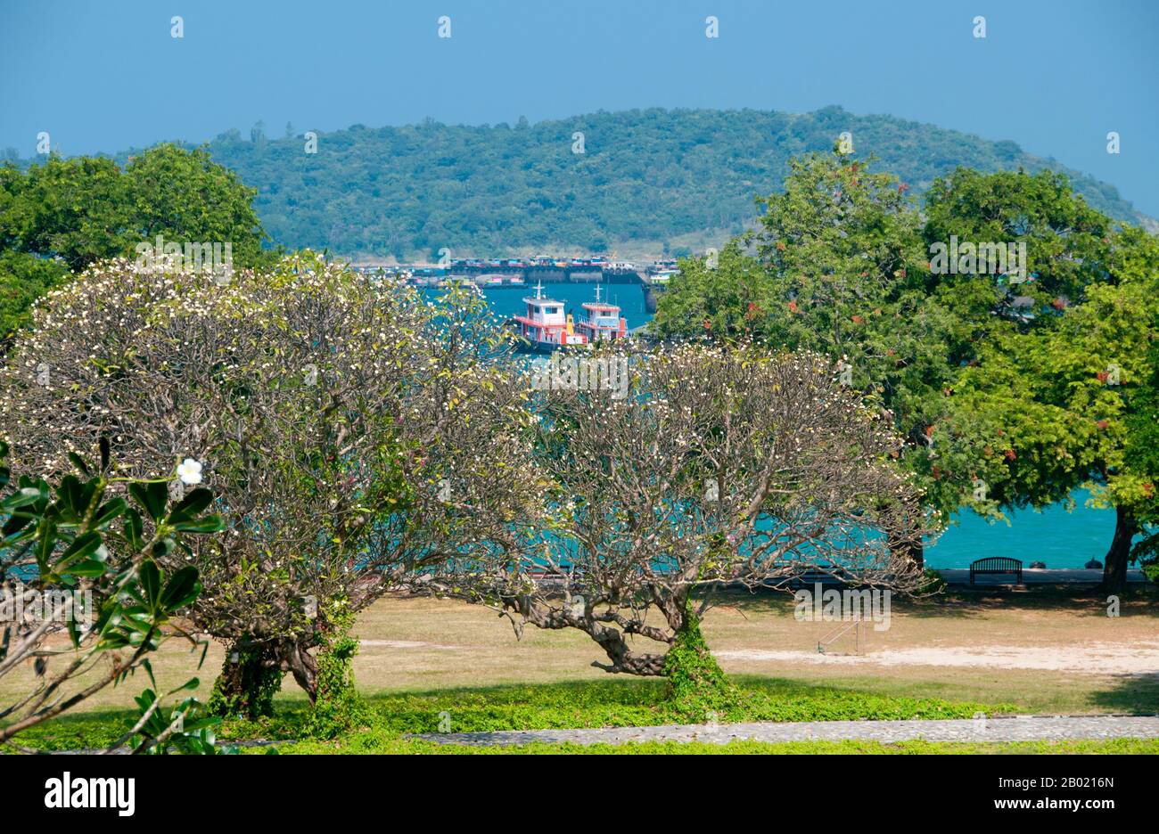 Thailand: Frangipani-Bäume im Palast von Rama V (1853–1910), Ko Sichang, Provinz Chonburi. Der Palast von Rama V., auch bekannt als Phra Chutathut Ratchasathan, wurde im 19. Jahrhundert erbaut. König Chulalongkorn (Rama V.) nutzte den Palast als Rückzugsort im Sommer von Bangkoks steifer Hitze. Der ursprüngliche Palast, der Vimanmek-Palast, stand hier, bis er 1901 Stück für Stück in den Dusit Park in Bangkok verlegt wurde. Der goldene Teakpalast wurde von König Chulalongkorn entworfen. Stockfoto