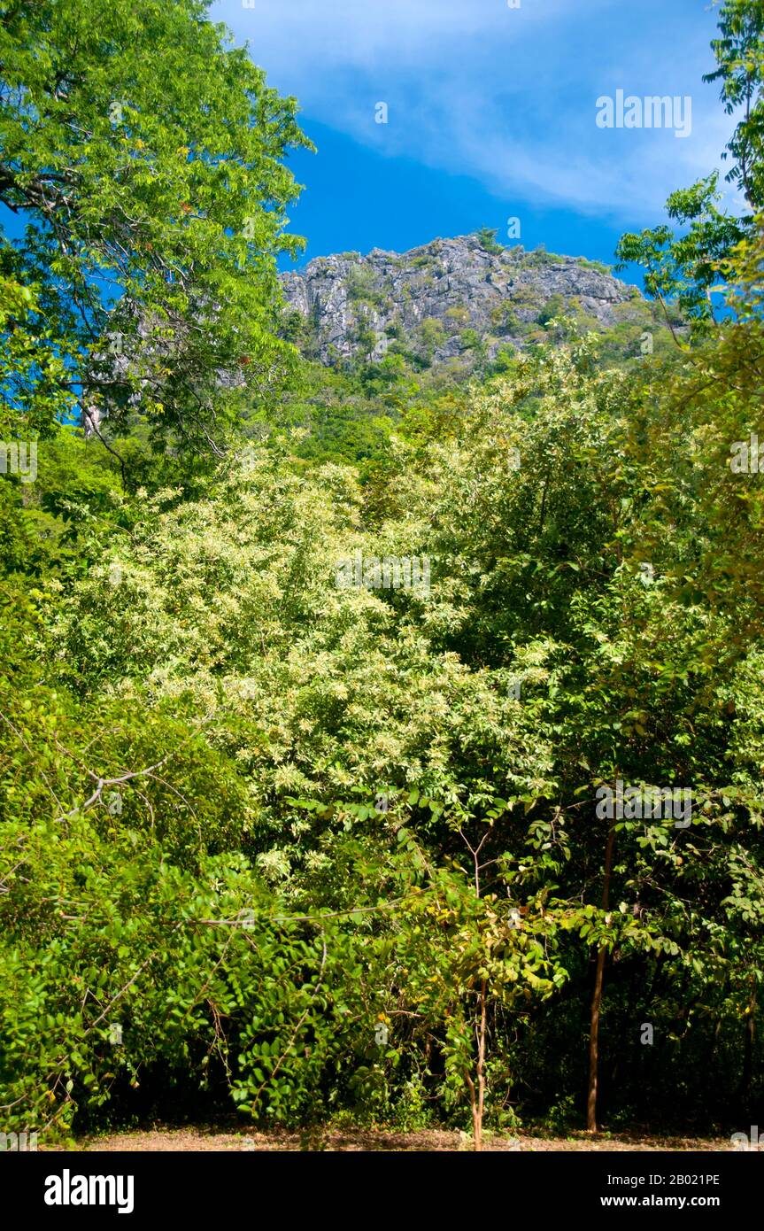 Thailand: Nationalpark Khao Sam Roi Yot, Provinz Prachuap Khiri Khan. Khao Sam ROI Yot wurde 1996 der erste Küstennationalpark Thailands. Sie umfasst eine Fläche von etwa 100 Quadratkilometern (40 Quadratmeilen), einschließlich steiler Kalksteinberge, die an Stellen mit Höhlen, Sümpfen, Mangrovensumpfern, Sandstränden und flachem Meer entlang der Küste durchzogen sind. Der Name sam roi yot bedeutet „dreihundert Gipfel“ und bezieht sich direkt auf die vielen Kalksteinaufschlüsse und Gipfel, die den Park charakterisieren und sich dramatisch bis zu einer Höhe von mehr als 650 Metern (2.150 Fuß) erheben. Stockfoto