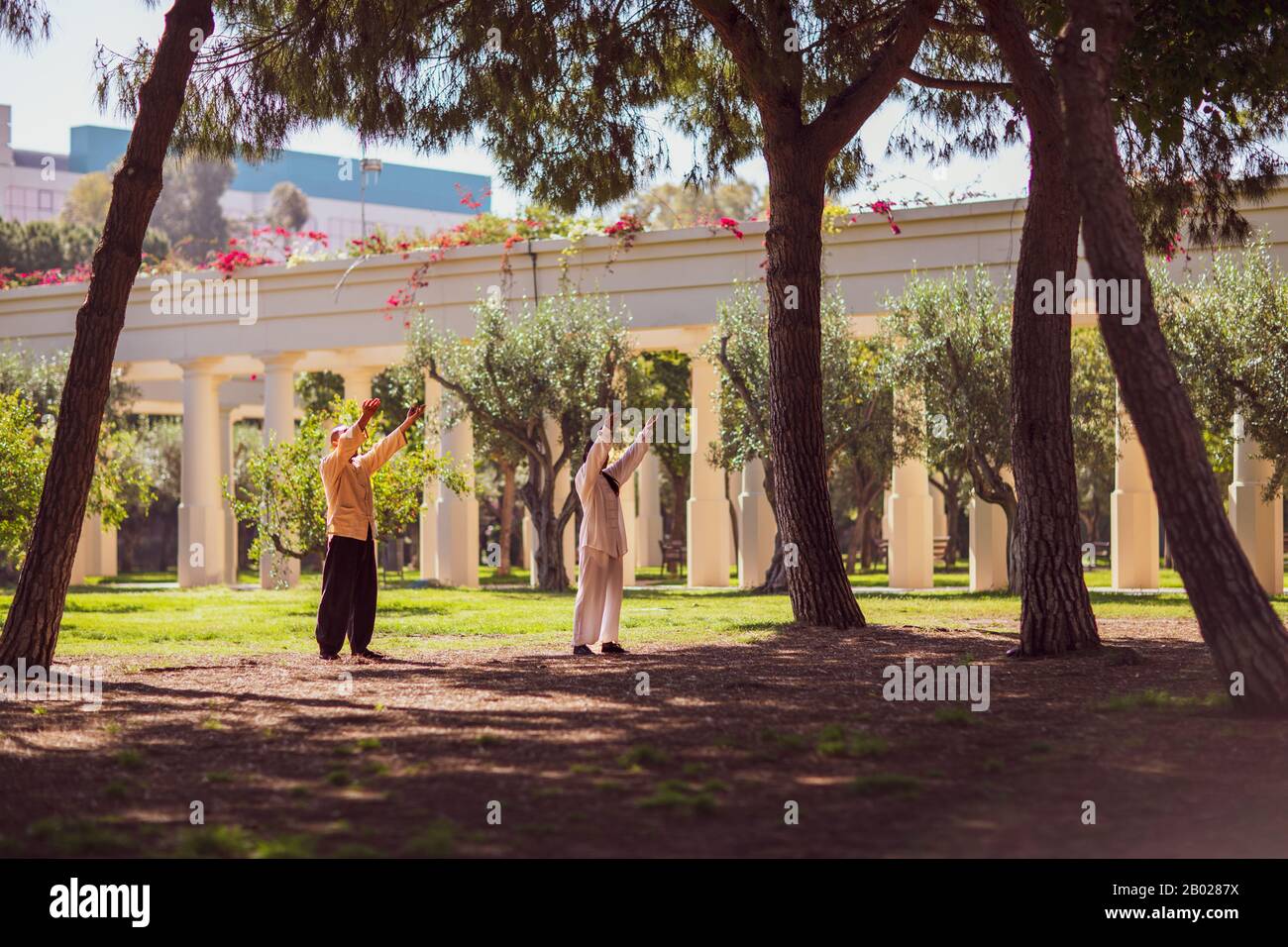 Zwei orientalische Leute praktizieren taichí in einem Stadtpark Stockfoto