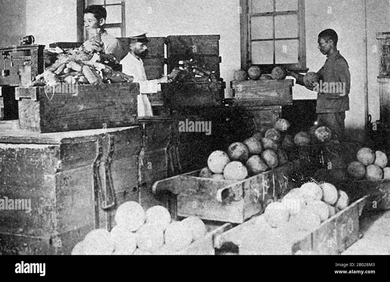 China: Auspacken von Opiumfällen in der staatlichen Opiumfabrik in Taihoku (Taipeh) während der japanischen Herrschaft (1895-1945), ca. 1905. Opiummohn, Papaver somniferum, ist die Pflanzenart, aus der Opium und Mohn gewonnen werden. Opium ist die Quelle vieler Opiate, einschließlich Morphin, Thebain, Codein, Papaverin, und Noscapin. Der lateinische botanische Name bedeutet „schlafenden Mohn“ und bezieht sich auf die sedierenden Eigenschaften einiger dieser Opiate. Stockfoto