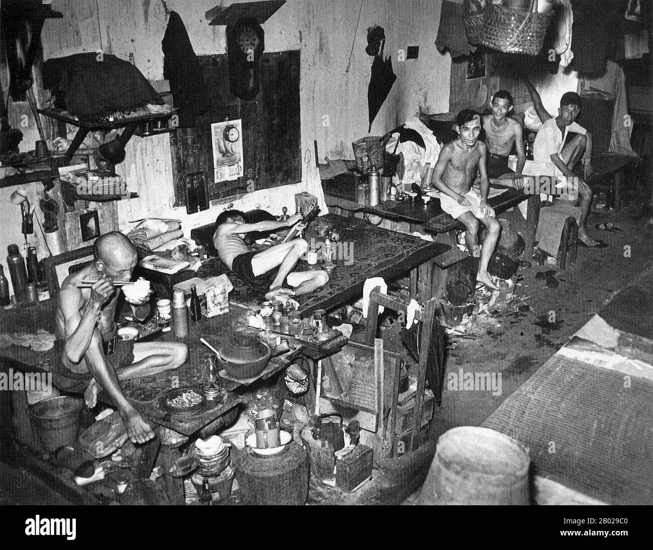 Singapur: Raucher in einer Opiumhöhle, Singapur, 1941. Opium (Mohnrisse, lachryma papaveris) ist der aus dem Opiummohn (Papaver somniferum) gewonnene getrocknete Latex. Opium enthält bis zu 12 Prozent Morphin, ein Alkaloid, das häufig chemisch verarbeitet wird, um Heroin für den illegalen Drogenhandel herzustellen. Der Latex enthält auch Codein und nicht narkotische Alkaloide wie Papaverin, Thebain und Noscapin. Die traditionelle Methode zur Herstellung des Latex besteht darin, die unreifen Samenkörner (Früchte) von Hand zu zerkratzen („punktieren“); das Latex tritt aus und trocknet zu einem klebrigen gelblichen Rückstand. Stockfoto