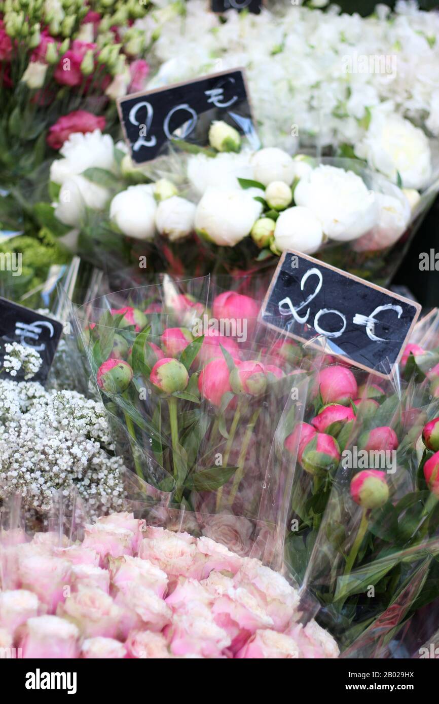 Pale Pink, White Ranunculus auf einem Markt in Paris. Blumensträuße zu verkaufen. Hochzeitsblumen. Stockfoto
