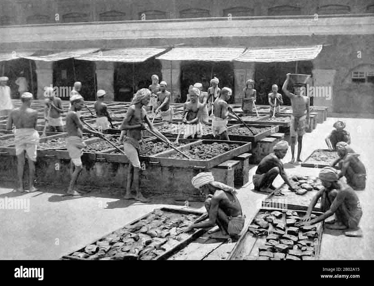 Indien: Mischen von rohem Opium in einer Regierungsfabrik in Kalkutta, 1900. Opiummohn, Papaver somniferum, ist die Pflanzenart, aus der Opium und Mohn gewonnen werden. Opium ist die Quelle vieler Opiate, einschließlich Morphin, Thebain, Codein, Papaverin und Noscapin. Der lateinische botanische Name bedeutet „schlafenden Mohn“ und bezieht sich auf die sedierenden Eigenschaften einiger dieser Opiate. Stockfoto