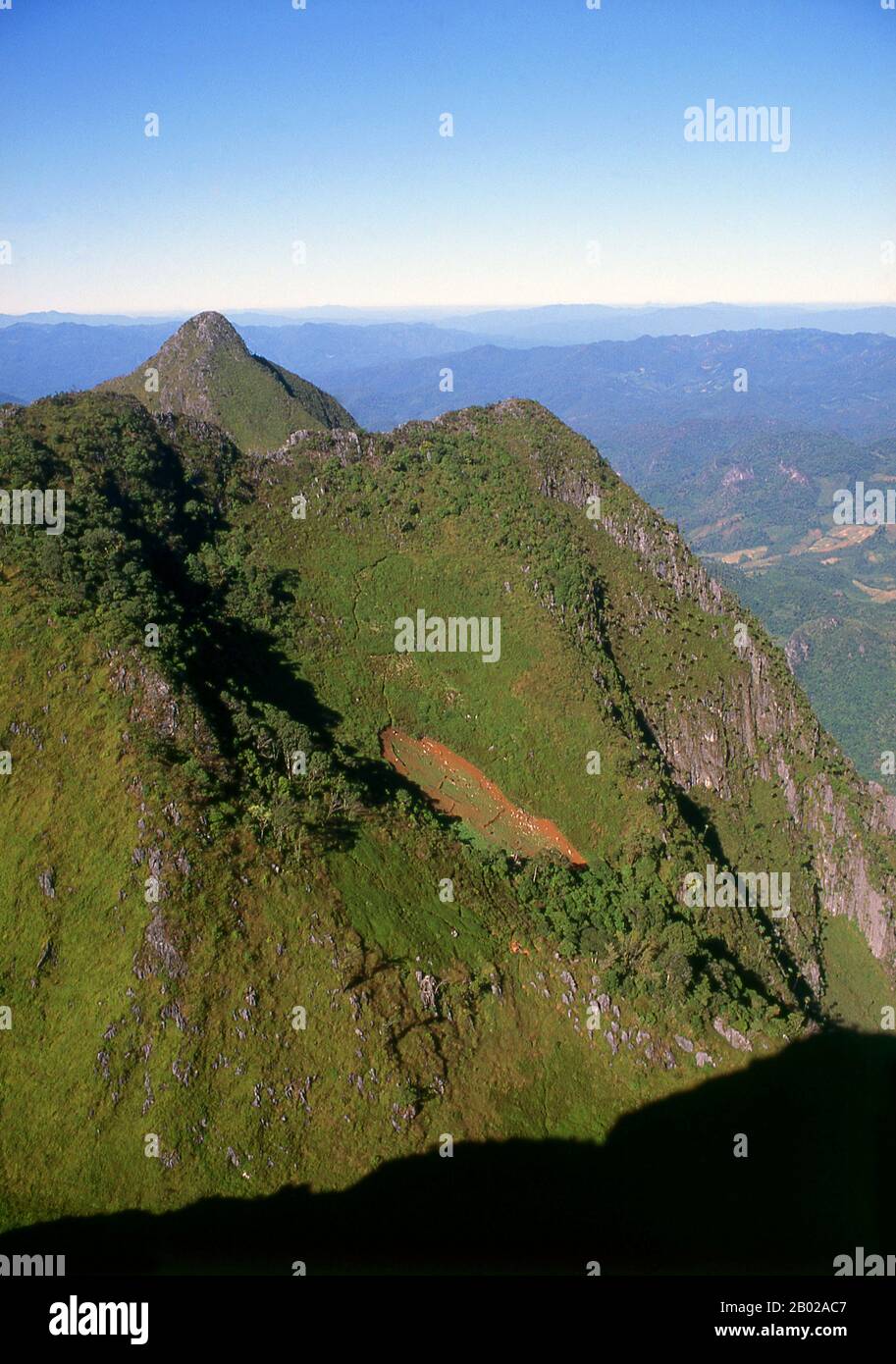 Thailand: Ein abgelegenes Mohnfeld (das hellere grüne Feld in der Mitte des Bildes) auf Doi Luang Chiang Dao, Nord-Thailand, um 1995. Opiummohn, Papaver somniferum, ist die Pflanzenart, aus der Opium und Mohn gewonnen werden. Opium ist die Quelle vieler Opiate, einschließlich Morphin, Thebain, Codein, Papaverin und Noscapin. Der lateinische botanische Name bedeutet „schlafenden Mohn“ und bezieht sich auf die sedierenden Eigenschaften einiger dieser Opiate. Stockfoto