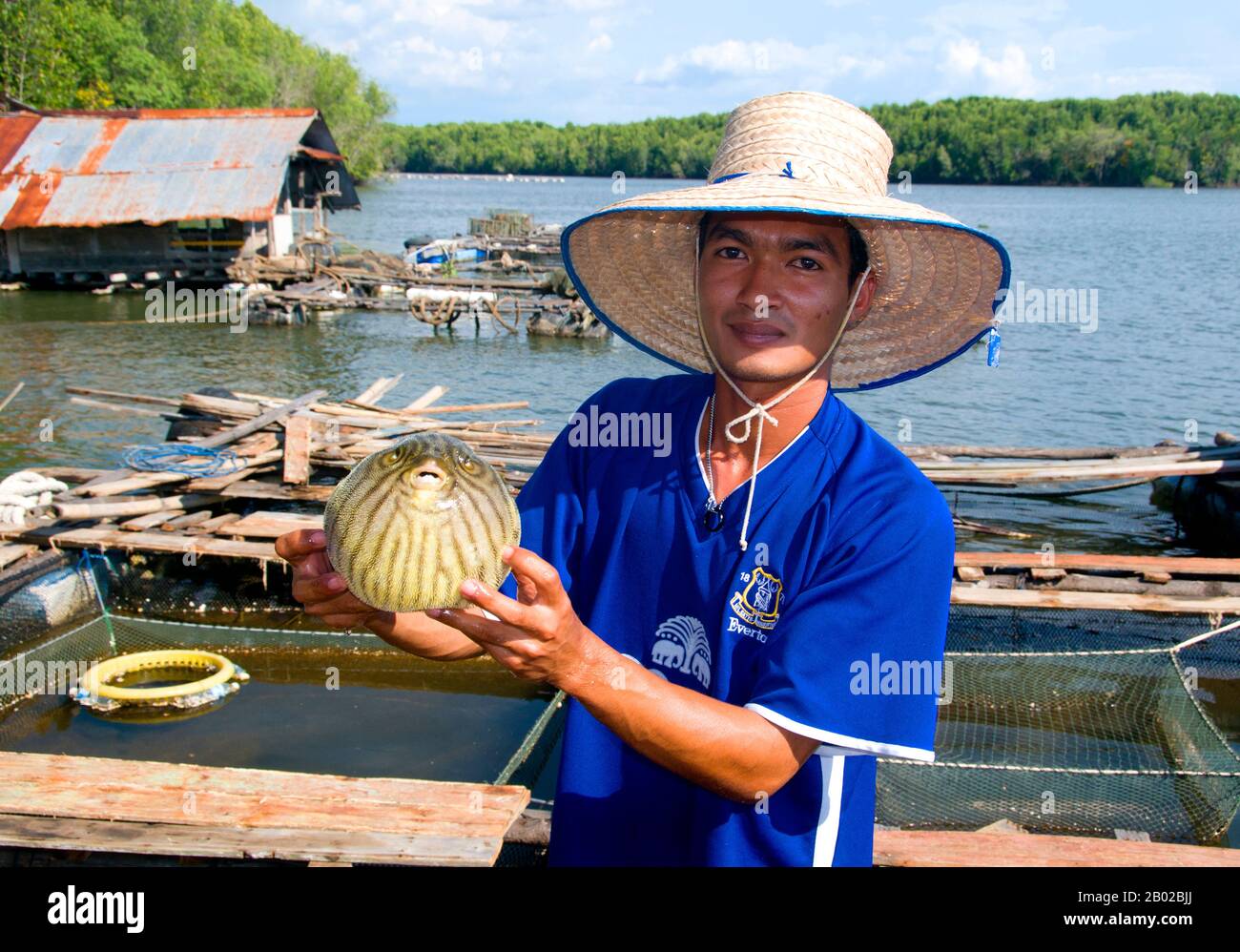 Einst ein einfacher Fischerhafen, wird Krabi zu einem Zentrum für Ökotourismus sowie zum Haupteinschiffungspunkt für Inseln wie Ko Lanta im Süden, Ko Phi Phi im Südwesten und den Stränden um Ao Nang im Westen. Am Ufer der Flussufer des Krabi-Estuary soll die Stadt ihren Namen von einem Schwert nehmen oder krabi angeblich in der Nähe entdeckt haben. Krabis Umgebung zeichnet sich durch die hohen Kalkauswüchse aus, eine Art Phang Nag Bay an Land, und diese sind zum Symbol der Provinz Krabi geworden. Zu den bemerkenswertesten gehören Khao Khanap Nam, zwei Kalksteingipfel, die wie senti stehen Stockfoto