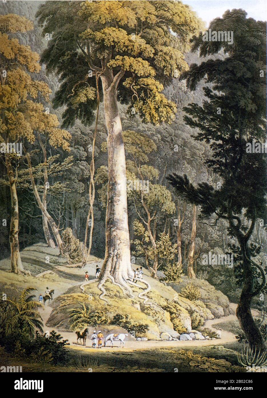 William Daniell RA (1767-1837) war ein englischer Landschafts- und Marinemaler und Graveur. Er reiste ausgiebig in den Fernen Osten und half dabei, einen der besten illustrierten Bände der Zeit zu produzieren - die orientalische Szenerie. William Daniell wurde in Kingston-upon-Thames, Surrey geboren. Daniells Zukunft wurde dramatisch verändert, als er nach dem vorzeitigen Tod seines Vaters im Jahr 1776 mit seinem Onkel, dem Landschaftskünstler Thomas Daniell (1749-1840), zusammen lebte. Im Jahr 1784 begleitete William seinen Onkel nach Indien, der dort als Graveur arbeitete und als dessen Assistent bei der Vorbereitung von Zeichnungen und Skizzen arbeitete. Stockfoto