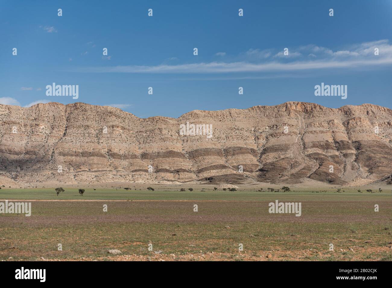 Wüstenlandschaft in Namibia Stockfoto