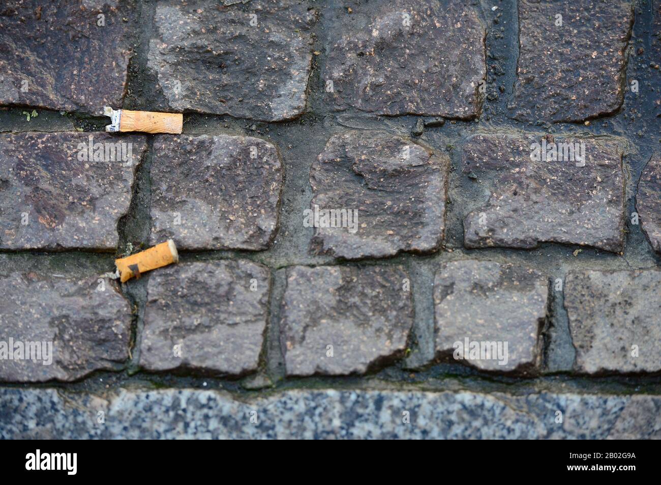 10. Oktober 2019, Sachsen, Leipzig: Zwei Zigarettenkippen liegen in den Fugen des Straßenbelags. Foto: Volkmar Heinz / dpa-Zentralbild / ZB Stockfoto