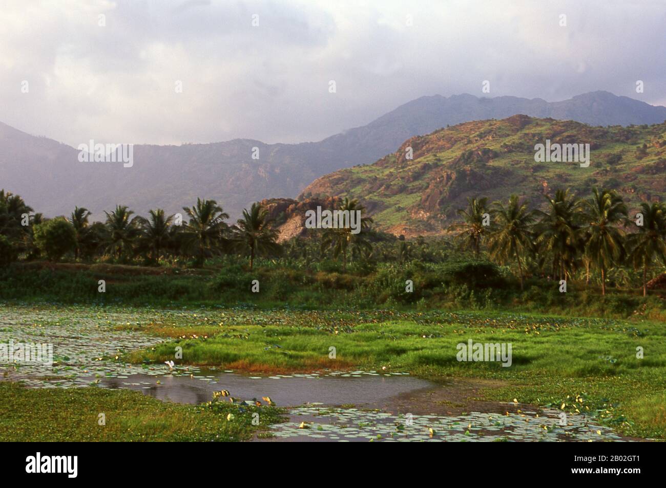 Die Westghats sind eine Gebirgskette entlang der westlichen Seite Indiens. Es gehört zum UNESCO-Weltkulturerbe und ist eines der biologisch vielfältigsten Gebiete der Welt. Es wird manchmal auch als "Great Escarpment of India" bezeichnet. Die Strecke verläuft nach Norden bis Süden am westlichen Rand des Dekkan-Plateaus und trennt das Plateau von einer schmalen Küstenebene, die Konkan genannt wird, entlang des Arabischen Meeres. Stockfoto