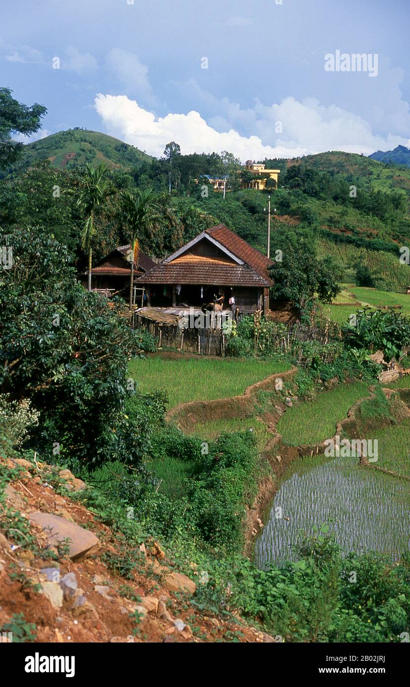 In den engen Bergtälern der Provinzen Son La, Dien Bien und Lai Chau in Nordvietnamesen bleiben die Tai eine sehr spürbare und selbstbewusste Minderheit. Sie sind in weiße Tai- und Schwarze Tai-Gemeinden unterteilt, während weiter südlich, an der Lao-Grenze in Thanh Hoa und Nghe An Provinzen, Red Tai überwiegen. Diese Untergruppen zeichnen sich durch das Kleid ihrer Frauen aus. Vietnams Tai sind Menschen der Bergtäler. Nasse Reisfelder anbauend sind sie relativ wohlhabend und genießen mehr Sicherheit und einen deutlich höheren Lebensstandard als die Menschen auf den Berghängen. Sie sind Kult Stockfoto