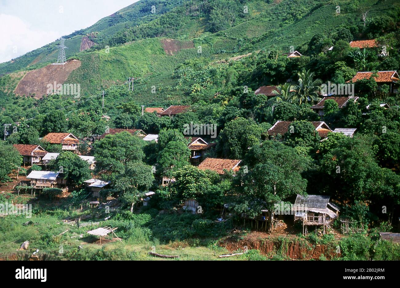 In den engen Bergtälern der Provinzen Son La, Dien Bien und Lai Chau in Nordvietnamesen bleiben die Tai eine sehr spürbare und selbstbewusste Minderheit. Sie sind in weiße Tai- und Schwarze Tai-Gemeinden unterteilt, während weiter südlich, an der Lao-Grenze in Thanh Hoa und Nghe An Provinzen, Red Tai überwiegen. Diese Untergruppen zeichnen sich durch das Kleid ihrer Frauen aus. Vietnams Tai sind Menschen der Bergtäler. Nasse Reisfelder anbauend sind sie relativ wohlhabend und genießen mehr Sicherheit und einen deutlich höheren Lebensstandard als die Menschen auf den Berghängen. Sie sind Kult Stockfoto
