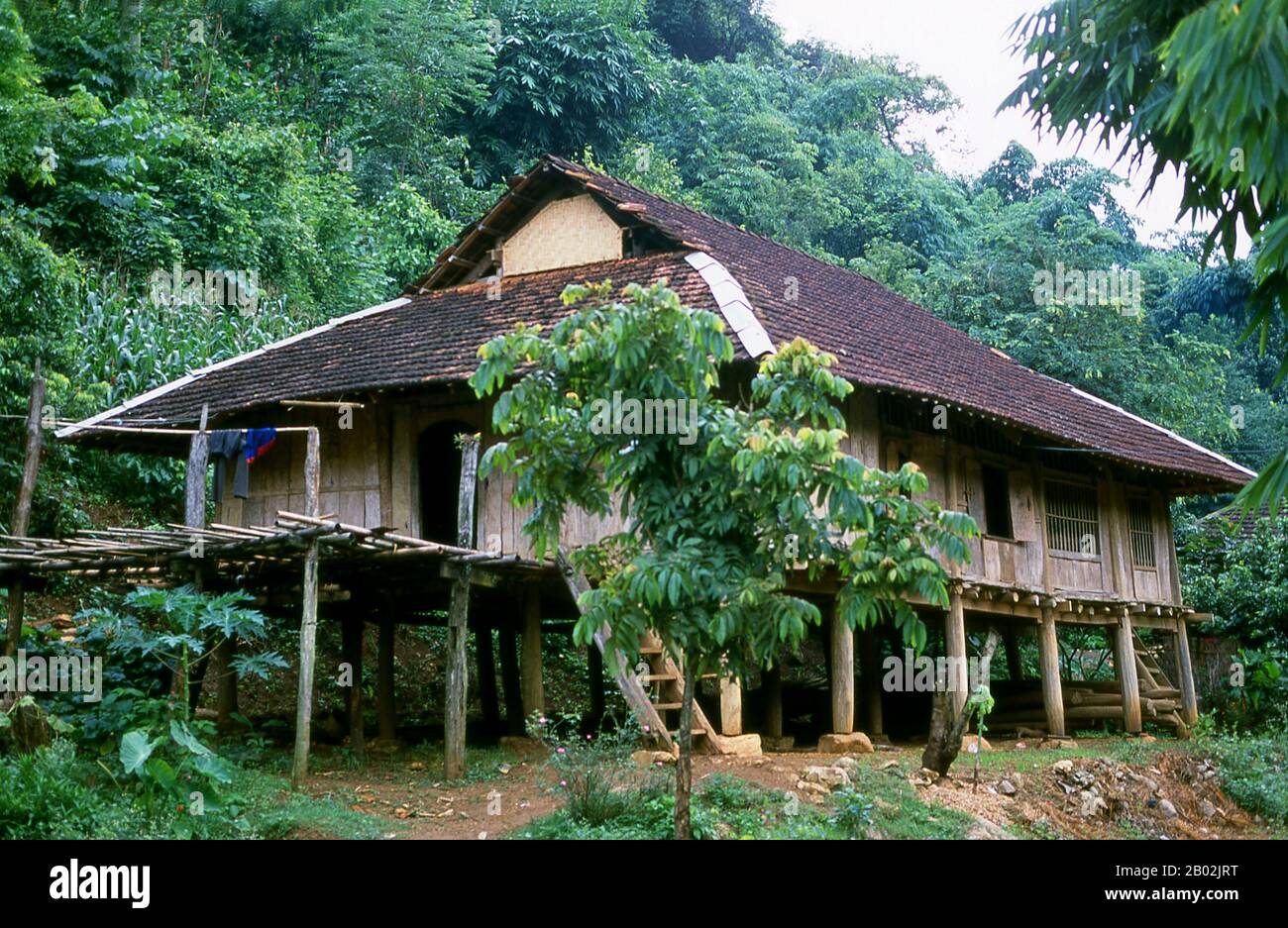 In den engen Bergtälern der Provinzen Son La, Dien Bien und Lai Chau in Nordvietnamesen bleiben die Tai eine sehr spürbare und selbstbewusste Minderheit. Sie sind in weiße Tai- und Schwarze Tai-Gemeinden unterteilt, während weiter südlich, an der Lao-Grenze in Thanh Hoa und Nghe An Provinzen, Red Tai überwiegen. Diese Untergruppen zeichnen sich durch das Kleid ihrer Frauen aus. Vietnams Tai sind Menschen der Bergtäler. Nasse Reisfelder anbauend sind sie relativ wohlhabend und genießen mehr Sicherheit und einen deutlich höheren Lebensstandard als die Menschen auf den Berghängen. Sie sind Kult Stockfoto