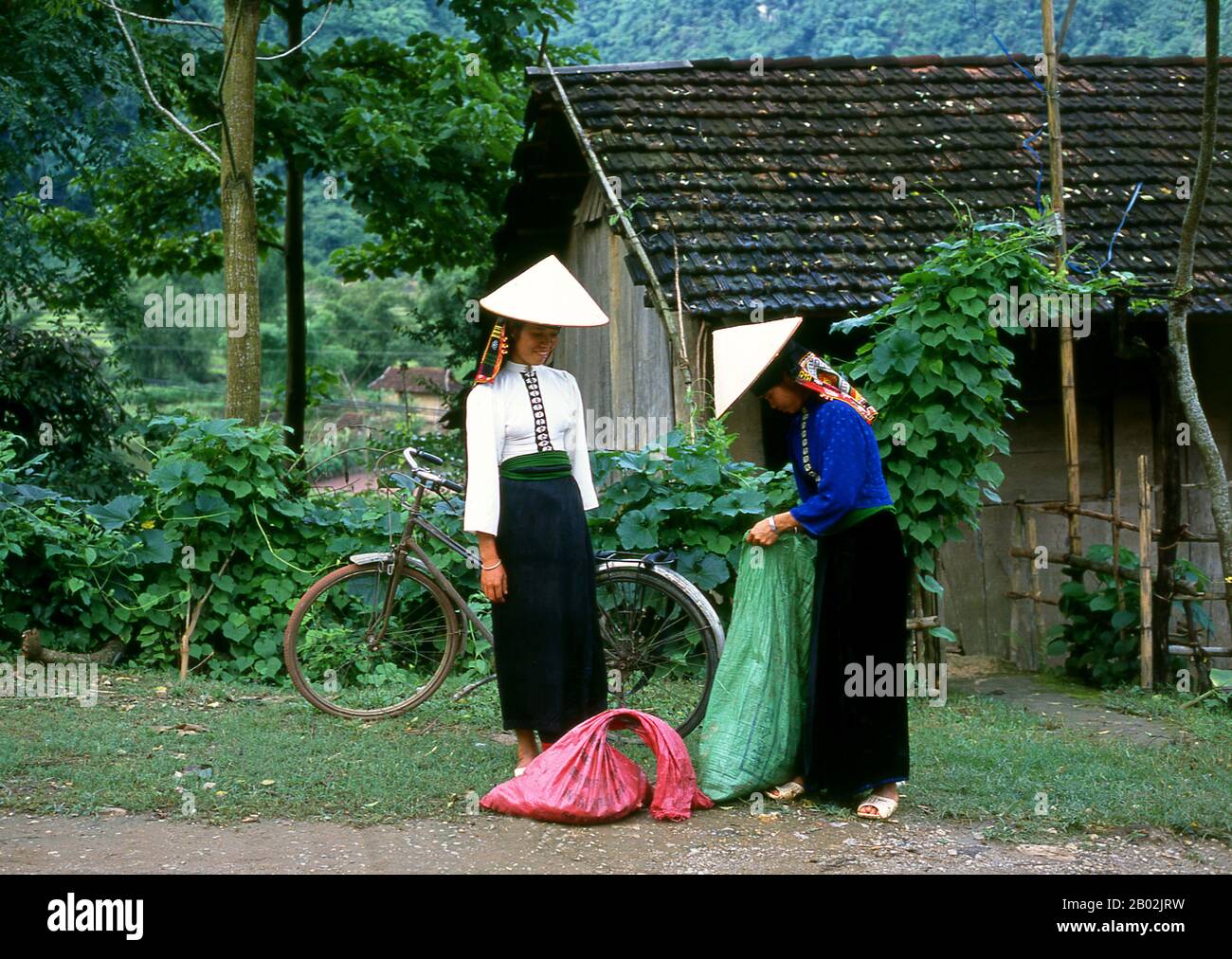In den engen Bergtälern der Provinzen Son La, Dien Bien und Lai Chau in Nordvietnamesen bleiben die Tai eine sehr spürbare und selbstbewusste Minderheit. Sie sind in weiße Tai- und Schwarze Tai-Gemeinden unterteilt, während weiter südlich, an der Lao-Grenze in Thanh Hoa und Nghe An Provinzen, Red Tai überwiegen. Diese Untergruppen zeichnen sich durch das Kleid ihrer Frauen aus. Vietnams Tai sind Menschen der Bergtäler. Nasse Reisfelder anbauend sind sie relativ wohlhabend und genießen mehr Sicherheit und einen deutlich höheren Lebensstandard als die Menschen auf den Berghängen. Sie sind Kult Stockfoto