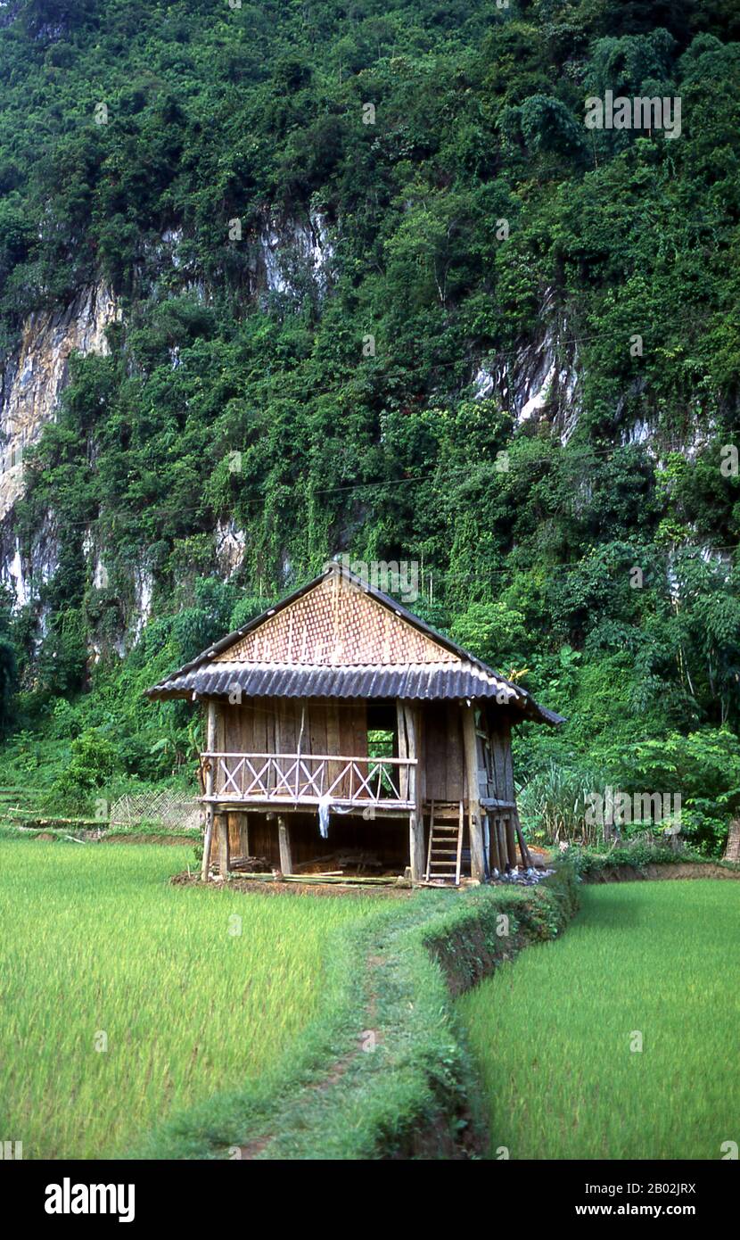 In den engen Bergtälern der Provinzen Son La, Dien Bien und Lai Chau in Nordvietnamesen bleiben die Tai eine sehr spürbare und selbstbewusste Minderheit. Sie sind in weiße Tai- und Schwarze Tai-Gemeinden unterteilt, während weiter südlich, an der Lao-Grenze in Thanh Hoa und Nghe An Provinzen, Red Tai überwiegen. Diese Untergruppen zeichnen sich durch das Kleid ihrer Frauen aus. Vietnams Tai sind Menschen der Bergtäler. Nasse Reisfelder anbauend sind sie relativ wohlhabend und genießen mehr Sicherheit und einen deutlich höheren Lebensstandard als die Menschen auf den Berghängen. Sie sind Kult Stockfoto