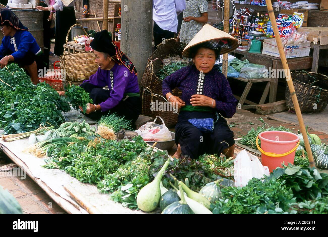 In den engen Bergtälern der Provinzen Son La, Dien Bien und Lai Chau in Nordvietnamesen bleiben die Tai eine sehr spürbare und selbstbewusste Minderheit. Sie sind in weiße Tai- und Schwarze Tai-Gemeinden unterteilt, während weiter südlich, an der Lao-Grenze in Thanh Hoa und Nghe An Provinzen, Red Tai überwiegen. Diese Untergruppen zeichnen sich durch das Kleid ihrer Frauen aus. Vietnams Tai sind Menschen der Bergtäler. Nasse Reisfelder anbauend sind sie relativ wohlhabend und genießen mehr Sicherheit und einen deutlich höheren Lebensstandard als die Menschen auf den Berghängen. Sie sind Kult Stockfoto