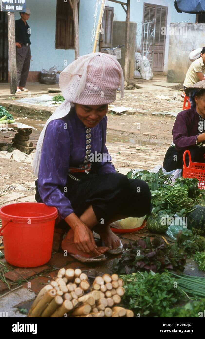 In den engen Bergtälern der Provinzen Son La, Dien Bien und Lai Chau in Nordvietnamesen bleiben die Tai eine sehr spürbare und selbstbewusste Minderheit. Sie sind in weiße Tai- und Schwarze Tai-Gemeinden unterteilt, während weiter südlich, an der Lao-Grenze in Thanh Hoa und Nghe An Provinzen, Red Tai überwiegen. Diese Untergruppen zeichnen sich durch das Kleid ihrer Frauen aus. Vietnams Tai sind Menschen der Bergtäler. Nasse Reisfelder anbauend sind sie relativ wohlhabend und genießen mehr Sicherheit und einen deutlich höheren Lebensstandard als die Menschen auf den Berghängen. Sie sind Kult Stockfoto