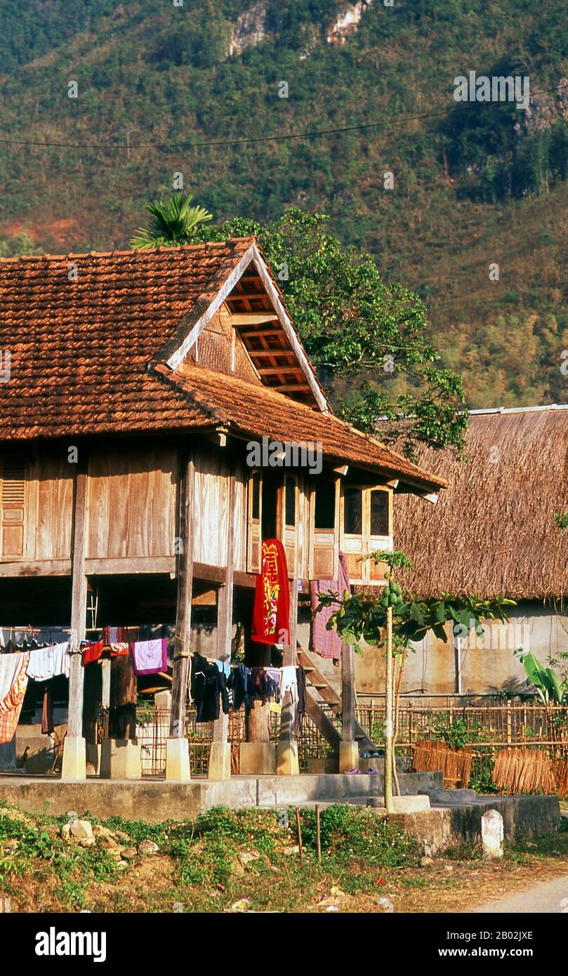 In den engen Bergtälern der Provinzen Son La, Dien Bien und Lai Chau in Nordvietnamesen bleiben die Tai eine sehr spürbare und selbstbewusste Minderheit. Sie sind in weiße Tai- und Schwarze Tai-Gemeinden unterteilt, während weiter südlich, an der Lao-Grenze in Thanh Hoa und Nghe An Provinzen, Red Tai überwiegen. Diese Untergruppen zeichnen sich durch das Kleid ihrer Frauen aus. Vietnams Tai sind Menschen der Bergtäler. Nasse Reisfelder anbauend sind sie relativ wohlhabend und genießen mehr Sicherheit und einen deutlich höheren Lebensstandard als die Menschen auf den Berghängen. Sie sind Kult Stockfoto