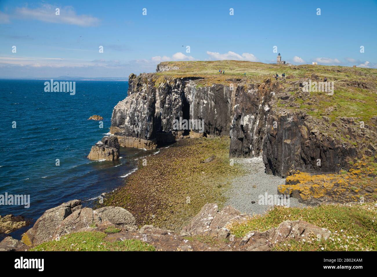 Klippen auf der Insel May, Schottland Stockfoto