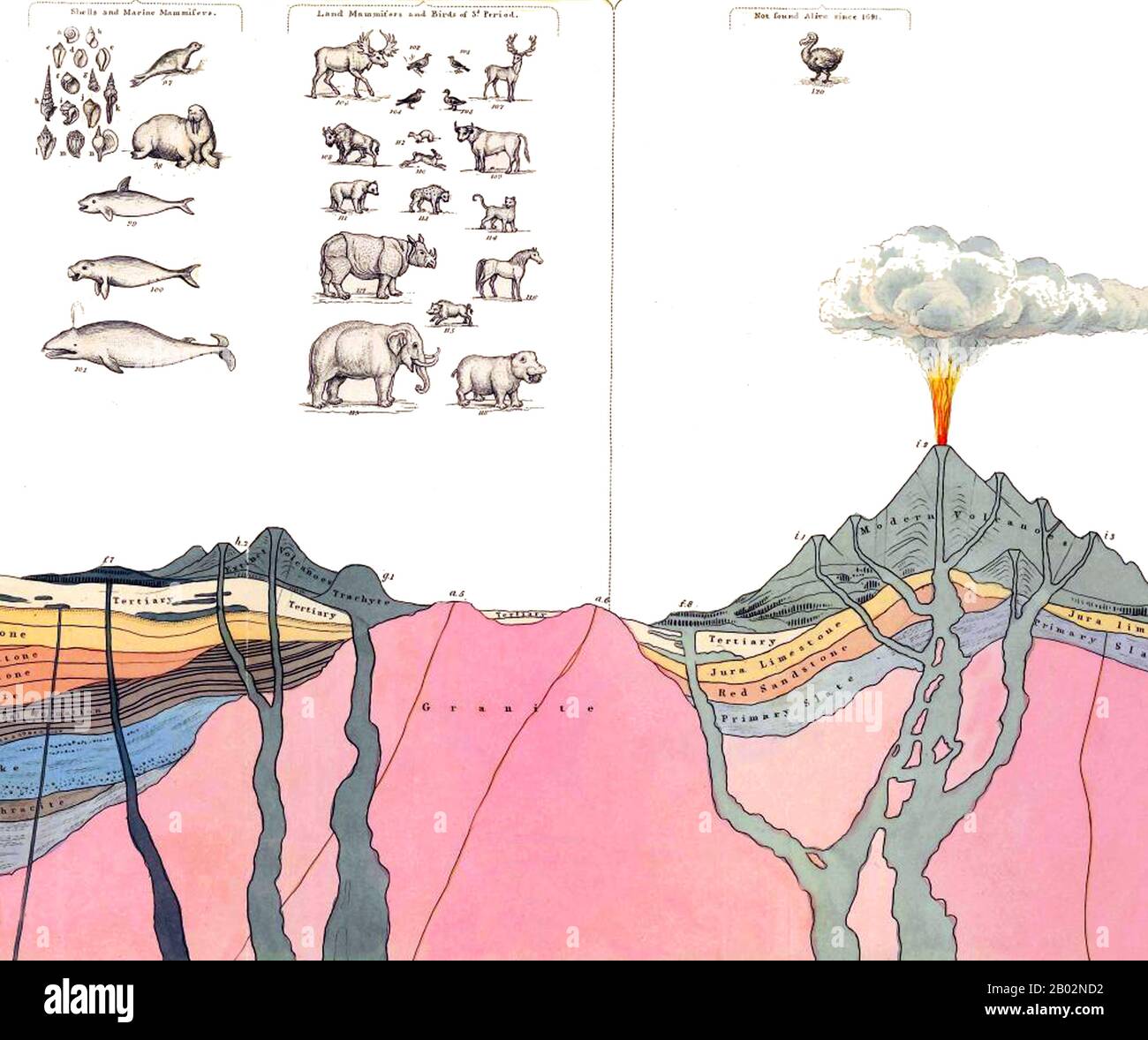 William Buckland DD FRS (12. März von 1701 bis 14. August 1856) war ein englischer Theologe, der Dean von Westminster wurde. Er war auch Geologe und Paläontologe und schrieb die erste vollständige Darstellung eines fossilen Dinosauriers, den er Megalosaurus nannte. Seine Arbeit, die belegt, dass Kirkdale Cave ein prähistorischer Hyänenhund gewesen war, für den er mit der Copley Medal ausgezeichnet wurde, wurde als Beispiel dafür gelobt, wie wissenschaftliche Analysen Ereignisse aus der fernen Vergangenheit rekonstruieren konnten. Er war ein Pionier in der Verwendung von versteinerten Fäkalien, für die er den Begriff Koprolithen prägte, um antike Ökosysteme zu rekonstruieren. Buckland war PR Stockfoto