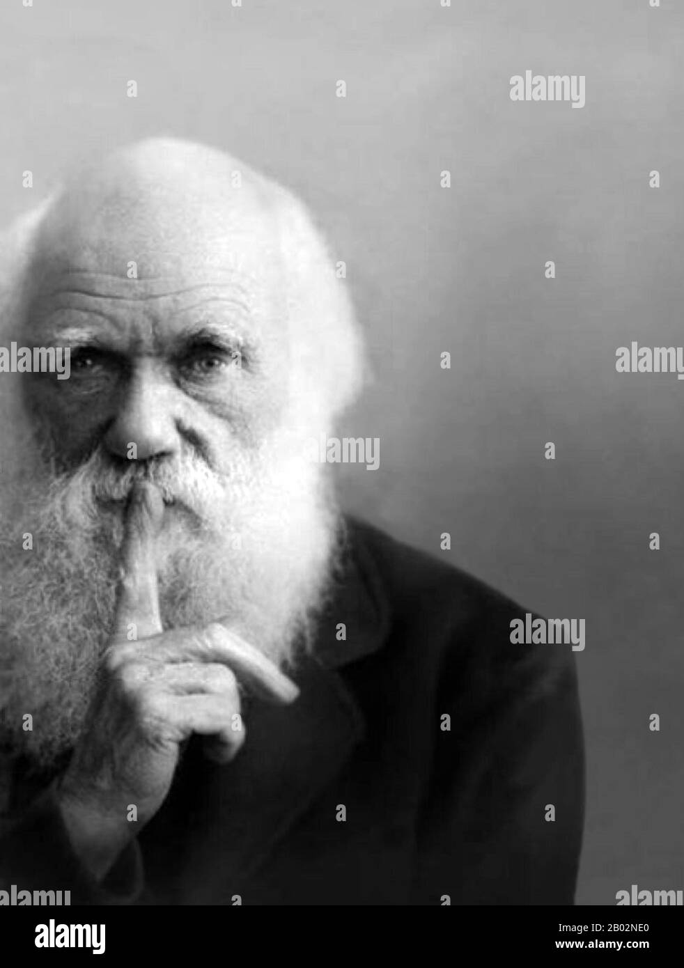 Charles Robert Darwin, FRS (12. Februar 1809 - 19. April 1882) war ein englischer Naturforscher und Geologe, der vor allem für seine Beiträge zur Evolutionstheorie bekannt ist. Er stellte fest, dass alle Lebensarten im Laufe der Zeit von gemeinsamen Vorfahren abstammen, Und in einer gemeinsamen Veröffentlichung mit Alfred Russel Wallace führte er seine wissenschaftliche Theorie ein, dass dieses Verzweigungsmuster der Evolution aus einem Prozess resultierte, den er natürliche Auswahl nannte, bei dem der Kampf um Existenz eine ähnliche Wirkung hat wie die künstliche Auswahl, die in der selektiven Züchtung involviert ist. Darwin veröffentlichte seine Evolutionstheorie mit Co Stockfoto