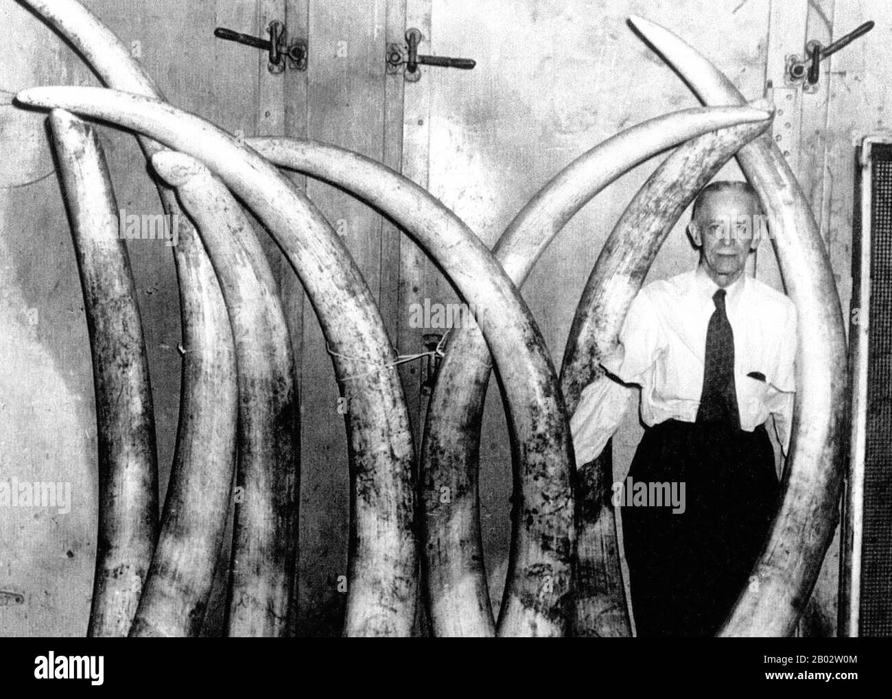 Pratt-Read wurde in Ivoryton, Connecticut, im Jahr 1798 als Pratt, Read & Company gegründet und stellte ursprünglich Perlen, Knöpfe und Billardkugeln aus Elefantenrüsen her, die aus Afrika importiert wurden. Das Unternehmen begann sich im Jahr 1839 auf die Herstellung von Klavierschlüsseln aus Elfenbein zu spezialisieren. Stockfoto