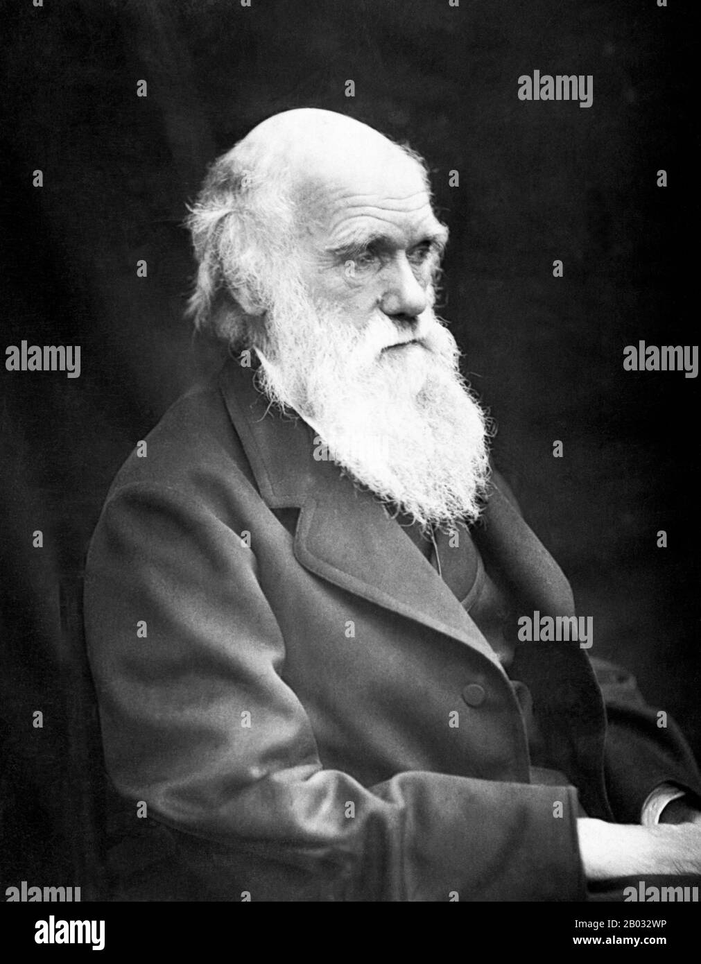Charles Robert Darwin, FRS (12. Februar 1809 - 19. April 1882) war ein englischer Naturforscher und Geologe, der vor allem für seine Beiträge zur Evolutionstheorie bekannt ist. Er stellte fest, dass alle Lebensarten im Laufe der Zeit von gemeinsamen Vorfahren abstammen, Und in einer gemeinsamen Veröffentlichung mit Alfred Russel Wallace führte er seine wissenschaftliche Theorie ein, dass dieses Verzweigungsmuster der Evolution aus einem Prozess resultierte, den er natürliche Auswahl nannte, bei dem der Kampf um Existenz eine ähnliche Wirkung hat wie die künstliche Auswahl, die in der selektiven Züchtung involviert ist. Darwin veröffentlichte seine Evolutionstheorie mit Co Stockfoto