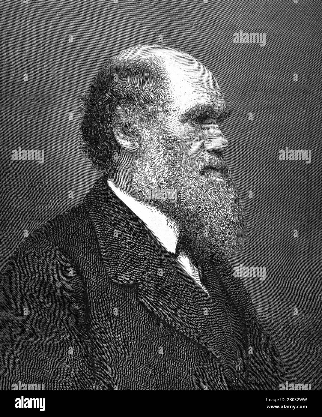 Charles Robert Darwin, FRS (12. Februar 1809 - 19. April 1882) war ein englischer Naturforscher und Geologe, der vor allem für seine Beiträge zur Evolutionstheorie bekannt ist. Er stellte fest, dass alle Lebensarten im Laufe der Zeit von gemeinsamen Vorfahren abstammen, Und in einer gemeinsamen Veröffentlichung mit Alfred Russel Wallace führte er seine wissenschaftliche Theorie ein, dass dieses Verzweigungsmuster der Evolution aus einem Prozess resultierte, den er natürliche Auswahl nannte, bei dem der Kampf um Existenz eine ähnliche Wirkung hat wie die künstliche Auswahl, die in der selektiven Züchtung involviert ist. Darwin veröffentlichte seine Evolutionstheorie mit Co Stockfoto