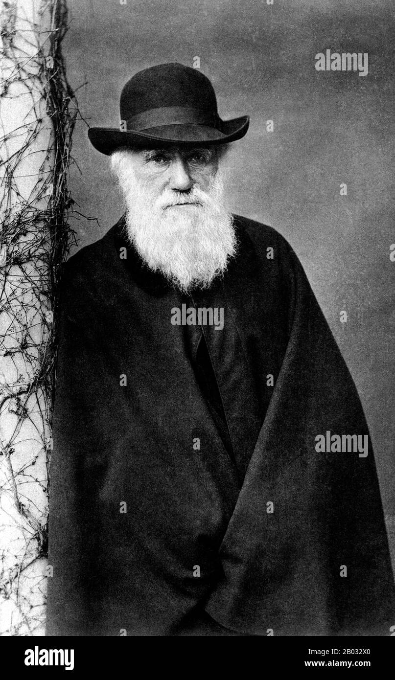Charles Robert Darwin, FRS (12. Februar 1809 - 19. April 1882) war ein englischer Naturforscher und Geologe, der vor allem für seine Beiträge zur Evolutionstheorie bekannt ist. Er stellte fest, dass alle Lebensarten im Laufe der Zeit von gemeinsamen Vorfahren abstammen, Und in einer gemeinsamen Veröffentlichung mit Alfred Russel Wallace führte er seine wissenschaftliche Theorie ein, dass dieses Verzweigungsmuster der Evolution aus einem Prozess resultierte, den er natürliche Auswahl nannte, bei dem der Kampf um Existenz eine ähnliche Wirkung hat wie die künstliche Auswahl, die in der selektiven Züchtung involviert ist. Darwin veröffentlichte seine Evolutionstheorie mit Co Stockfoto