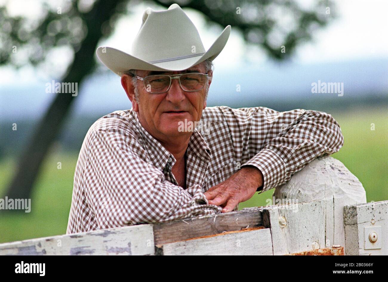 Lyndon Baines Johnson (27. August 1908 - 22. Januar 1973), oft als LBJ bezeichnet, war 36. Präsident der Vereinigten Staaten (1963-1969) nach seinem Dienst als 37. Vizepräsident der Vereinigten Staaten (1961-1963). Er ist einer von nur vier Personen, die in allen vier gewählten Bundesämtern der Vereinigten Staaten tätig waren: Vertreter, Senator, Vizepräsident und Präsident. Johnson, ein Demokrat, war von 1937 bis 1949 als Vertreter der Vereinigten Staaten aus Texas und von 1949 bis 1961 als Senator der Vereinigten Staaten tätig, darunter sechs Jahre als Mehrheitsführer des Senats der Vereinigten Staaten, zwei als Minderheitsführer des Senats Stockfoto