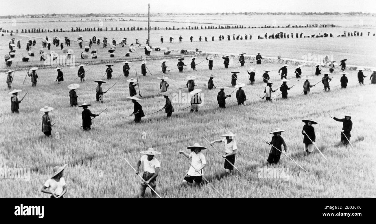 Der Große Sprung Nach Vorn ( da yue jin) der Volksrepublik China (PRC) war eine wirtschaftliche und soziale Kampagne der Kommunistischen Partei Chinas (CPC), die sich in Planungsentscheidungen von 1958 bis 1961 widerspiegelt. Das darauf abzielte, Chinas riesige Bevölkerung zu nutzen, um das Land durch den Prozess der schnellen Industrialisierung und Kollektivierung schnell von einer Agrarwirtschaft in eine moderne kommunistische Gesellschaft umzuwandeln. Mao Zedong leitete die Kampagne auf der Grundlage der Theorie der Produktivkräfte und intensivierte sie, nachdem er über die drohende Katastrophe durch Getreideknappheit informiert worden war. Chefwechsel im Leben des ländlichen Raums Stockfoto
