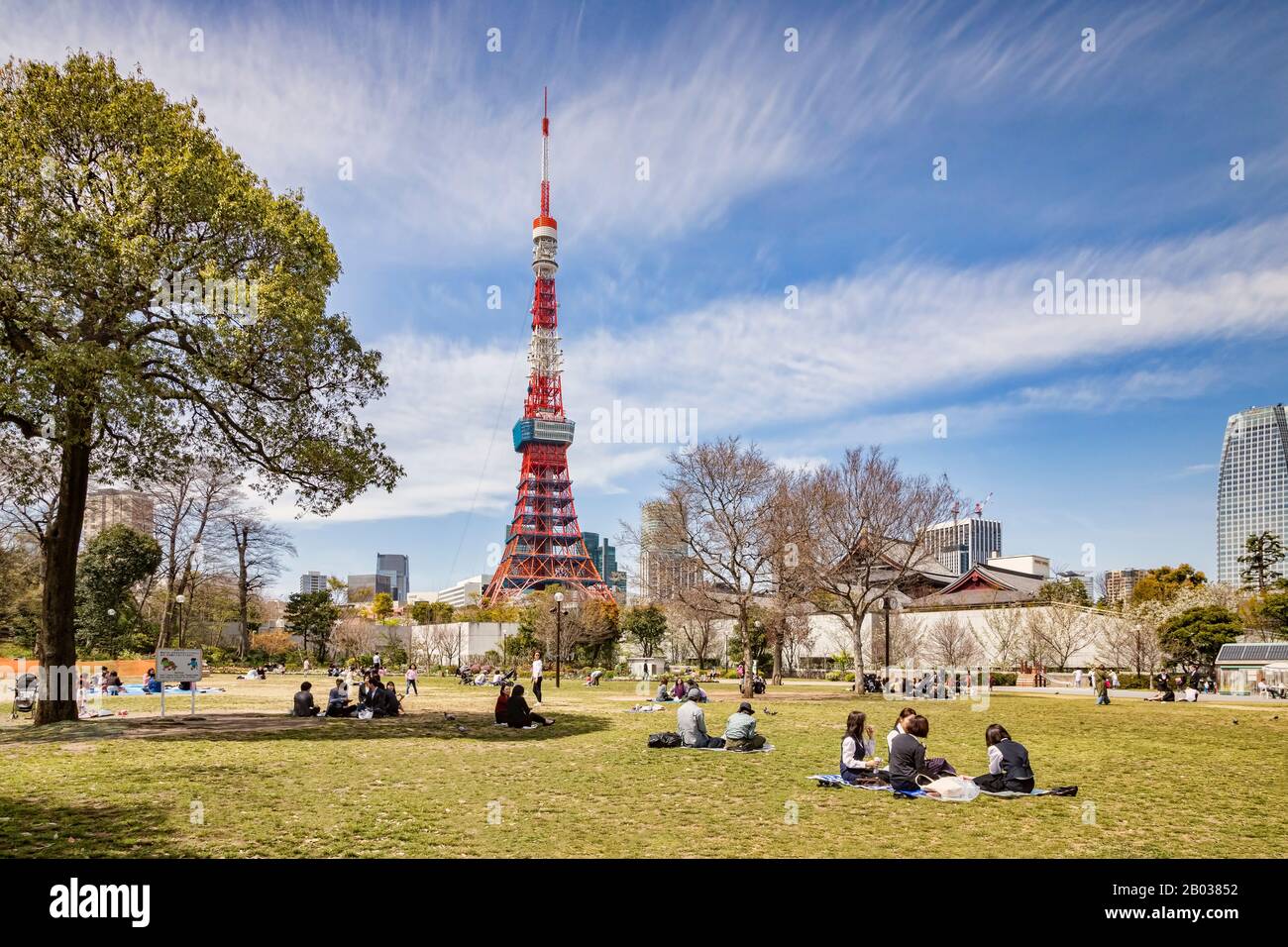 5. April 2019: Tokio, Japan - Mittagessen im Frühjahr, im Shiba Park, in der Mitte Tokios, in der Nähe des Tokyo Tower. Stockfoto