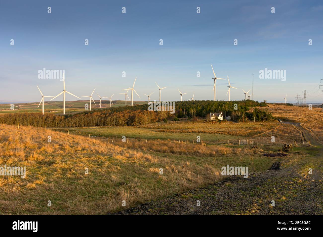 Der Windpark Stemster Hill vom Shebster Hill. In der Nähe von Thurso, Caithness, Schottland, Großbritannien Stockfoto