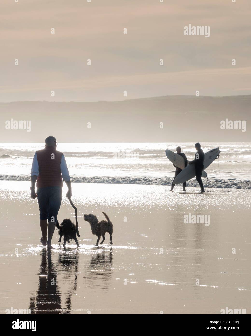 Surfer und Hundewanderer genießen Spaziergänge am Strand in Godrevy, Cornwall, England. Stockfoto