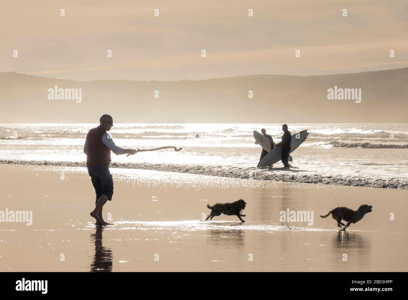 Surfer und Hundewanderer genießen Spaziergänge am Strand in Godrevy, Cornwall, England. Stockfoto