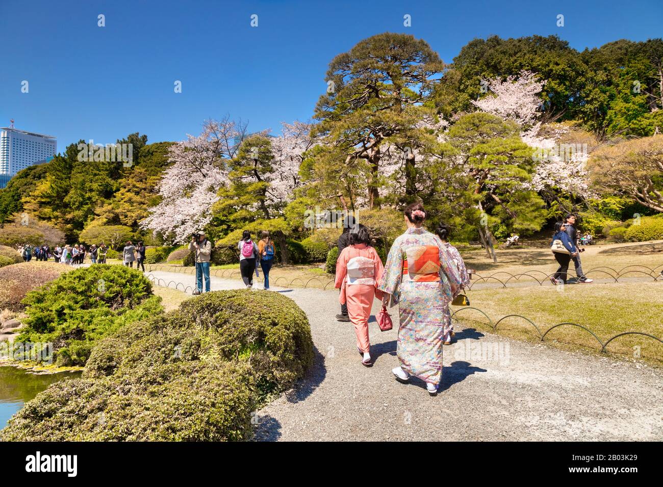 April 2019: Tokio, Japan - Kimono, der Touristen im Shinjuku Gyoen Park, einem der berühmtesten Parks in Japan, in der Kirschblütensaison trägt. Stockfoto