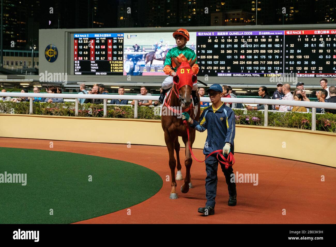 Hongkong, November 2019: Leute, die sich ein Rennpferd im Jockey Club in Hongkong, Happy Valley, suchen Stockfoto