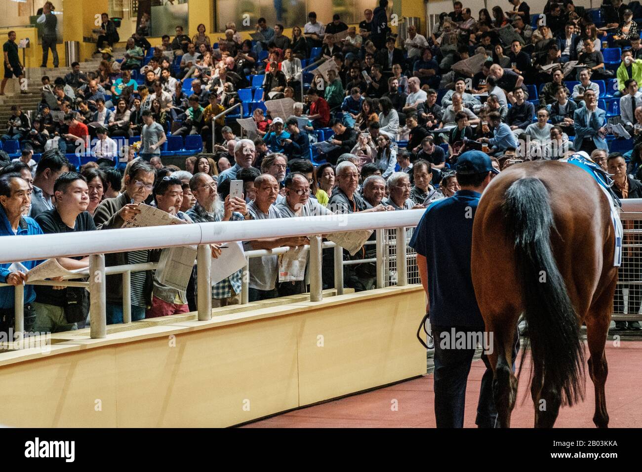 Hongkong, November 2019: Leute, die auf Rennpferd im Hong Kong Jockey Club, Rennkurs Im Happy Valley schauen Stockfoto