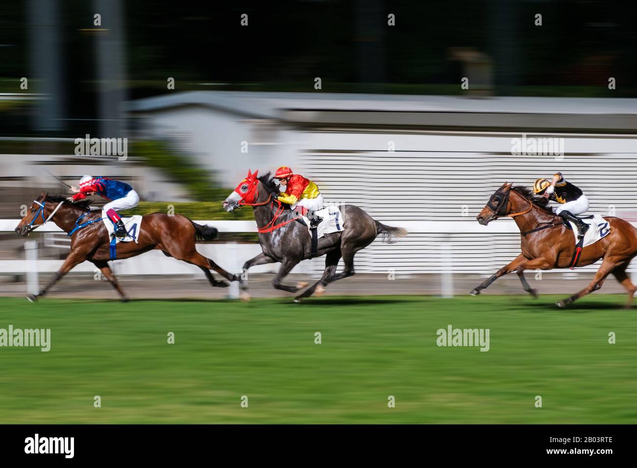 Hongkong, November 2019: Pferderennen im Hong Kong Jockey Club Happy Valley Racecourse Stockfoto