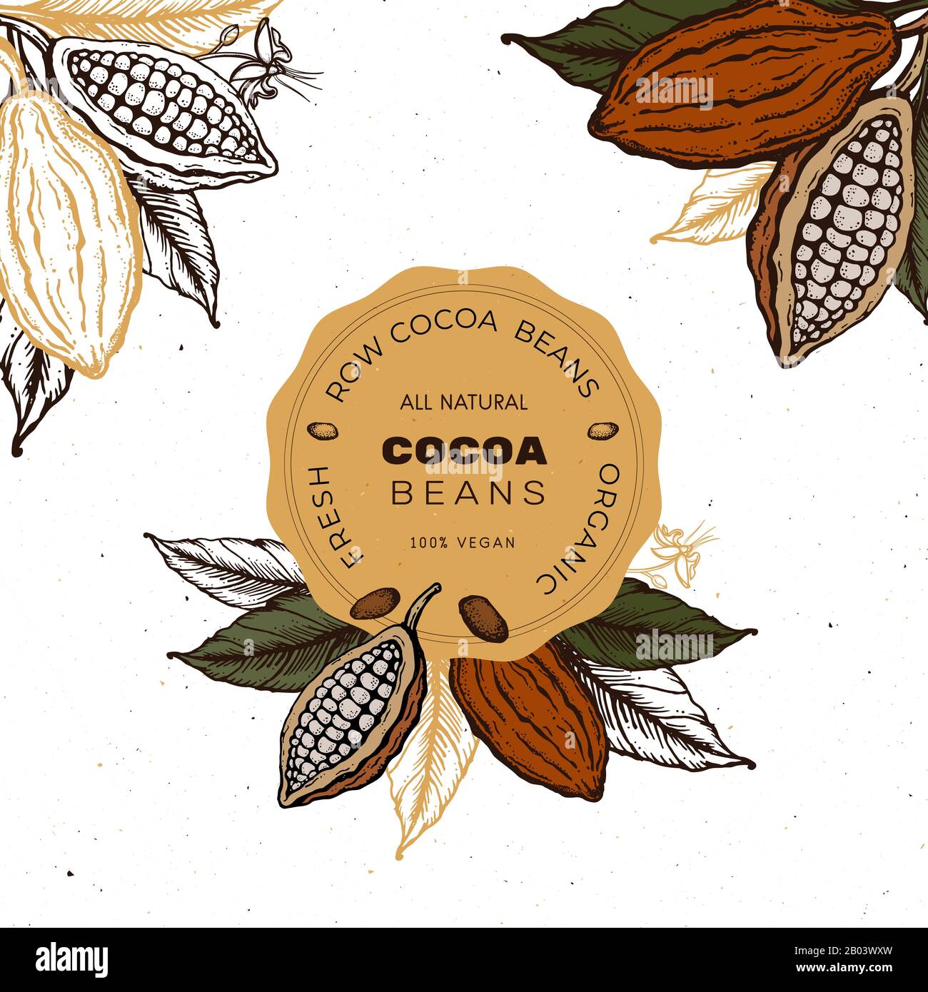Kakaobohnen, Handgezeichnetes Etikett mit Skizze aus Vintage-Anbau Stock Vektor