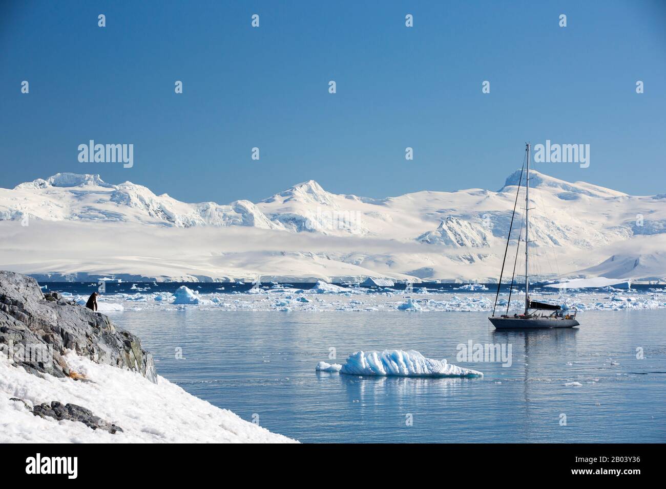 Eine Yacht vor Cuverville Island, Errera Channel, Arctowski Peninsular, Antarktis. Stockfoto