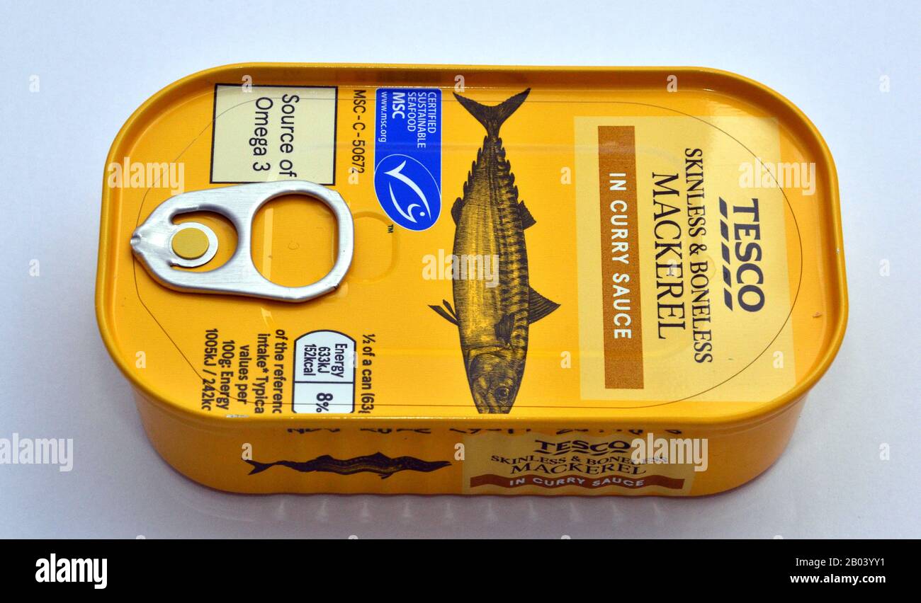 Eine ungeöffnete 125-Gramm-Zinn der Marke Tesco ohne und ohne Knochen in Curry-Sauce auf weißem Hintergrund Stockfoto