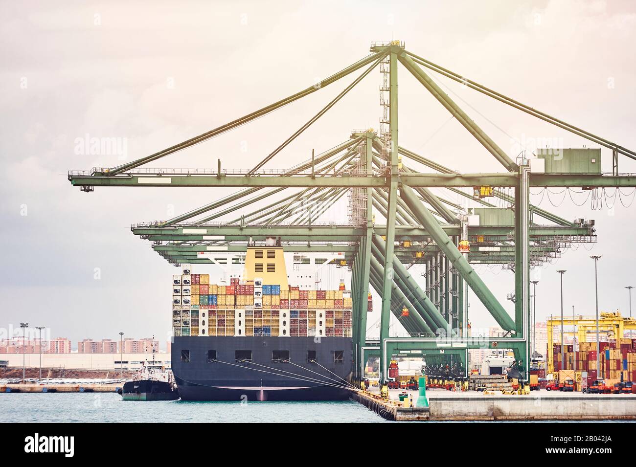 Schiffskräne Entladen von Containern aus einem Schiff im Hafengebiet.Transportindustrie und Versandlogistik.Export- und Importbusse Stockfoto