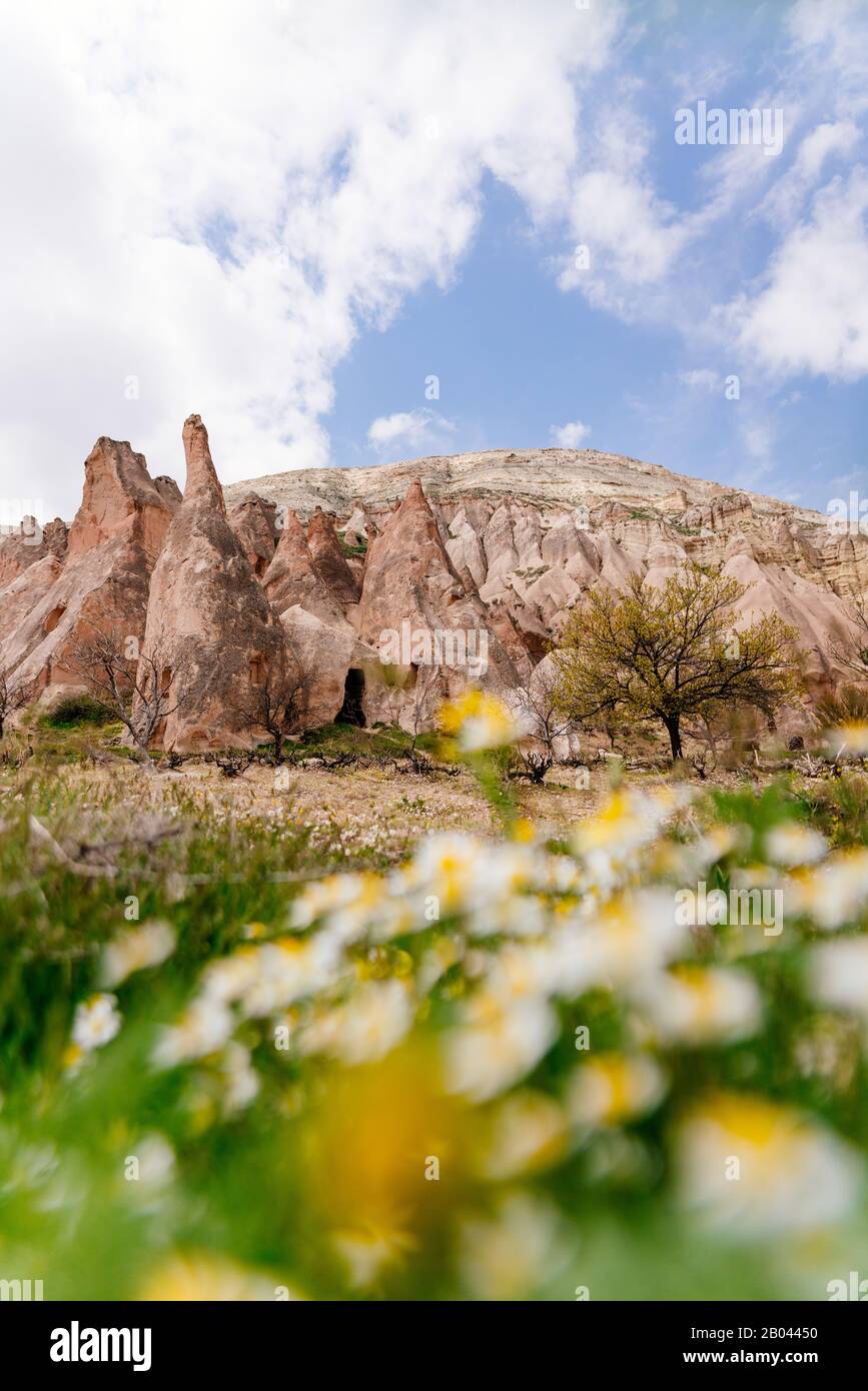 Frühling in Kappadokien, Türkei. Fee Chimney Rock Formationen mit Blumen Stockfoto