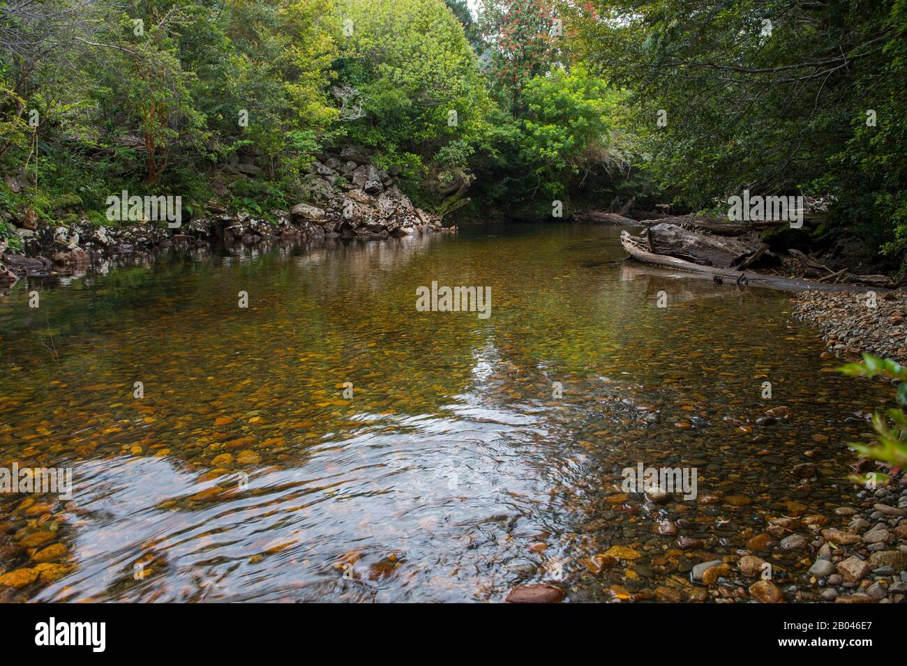 Kleiner Fluss, der durch den Wald im Aiken del Sur Private Park in der Nähe von Puerto Chacabuco in den chilenischen Fjorden im Süden Chiles verläuft. Stockfoto
