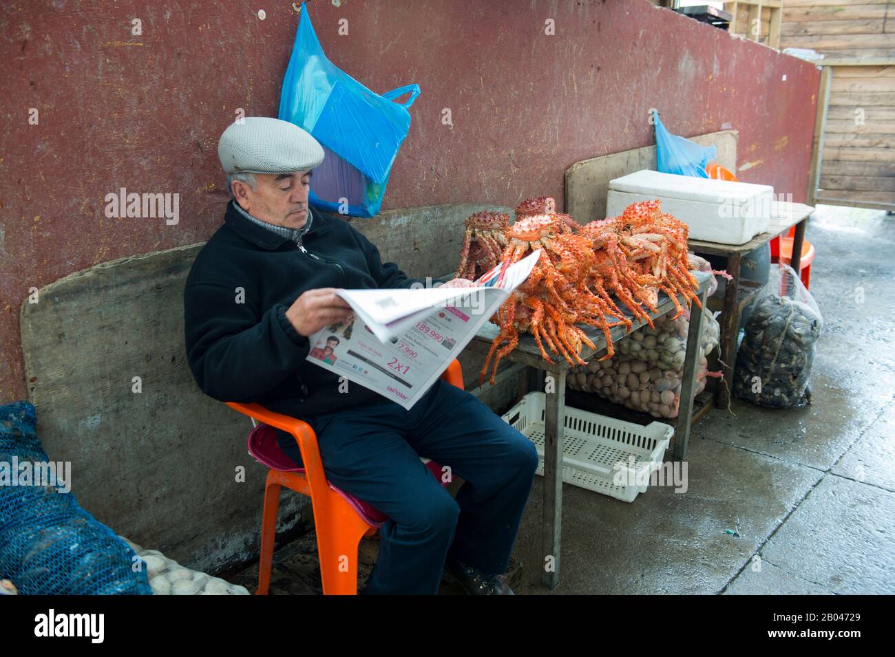 Marktszene mit dem Mann, der die Zeitung liest und in der Markthalle in Angelmo, Puerto Montt im Süden Chiles, die Königskrabbe verkauft. Stockfoto