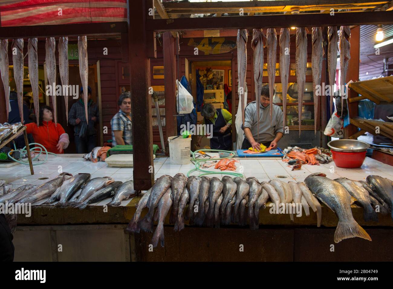 Marktszene mit frischem Fisch in der Markthalle in Angelmo, Puerto Montt im Süden Chiles. Stockfoto