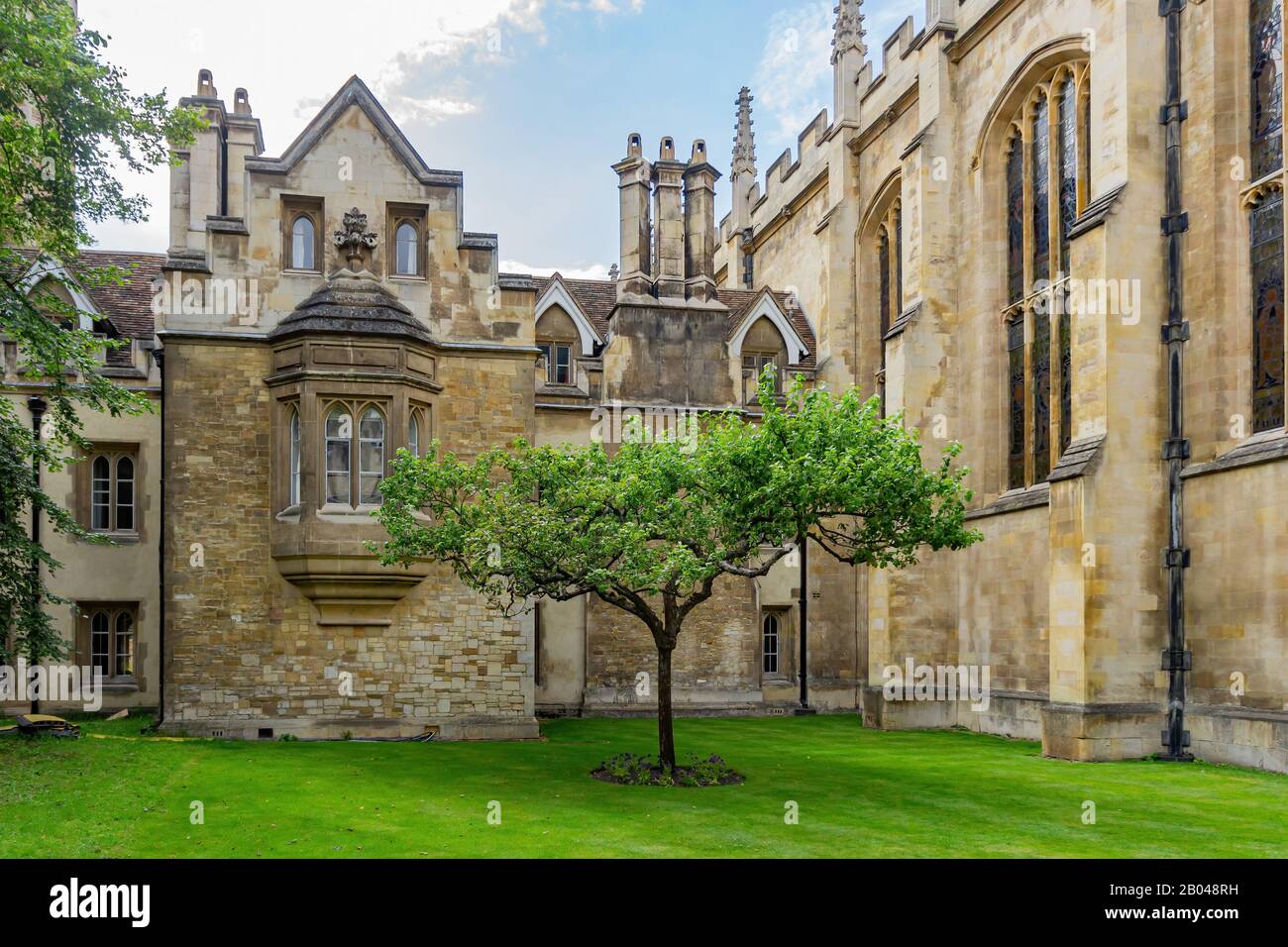Morgenblick auf den berühmten Newtoner Apfelbaum in Cambridge, Großbritannien Stockfoto