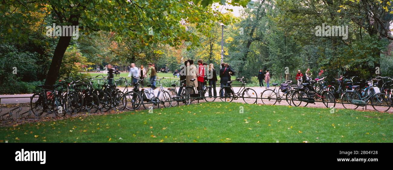 Gruppe von Personen und Fahrrädern in einem Park, Vondelpark, Amsterdam, Niederlande Stockfoto