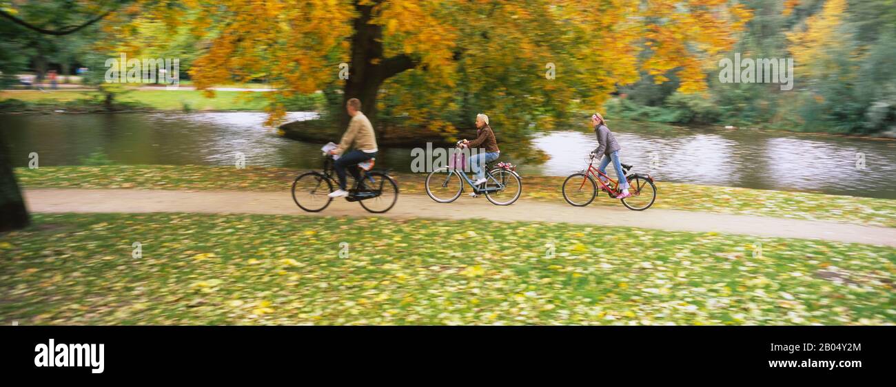 Fahrradfahrer in einem Park, Vondelpark, Amsterdam, Niederlande Stockfoto